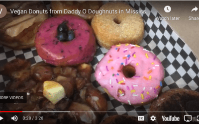 Donut Run! Vegan Donuts from Daddy O Doughnuts in Mississauga