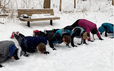 The 133590 Challenge: 366 Days of Push-Ups & Sit-Ups